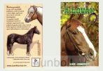 A lovak (Földünk állatvilága sorozat) kártyajáték