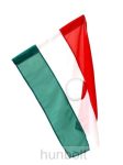 Nemzeti színű lyukas zászló, 56-OS EMLÉKZÁSZLÓ