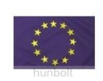 Európa zászló, Uniós zászló