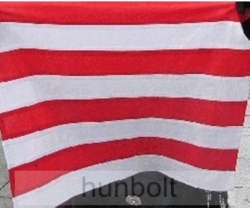 Image of Árpádsávos zászló Rúd nélkül 60x90 cm