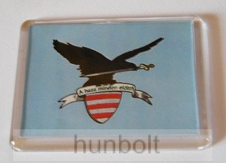 Image of Árpádsávos turul hűtőmágnes (műanyag keretes)