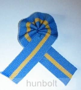 Image of Székely egyszerű kokárda