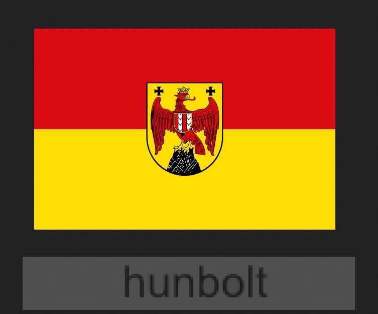 Image of Burgerland címeres zászló 90x150 cm