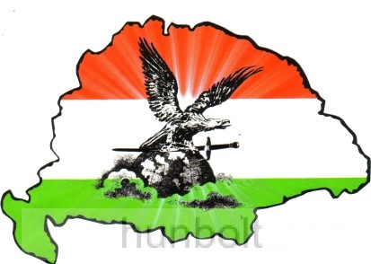 Image of Nemzeti színű turulos hűtőmágnes Nagy-Magyarország körvonallal 14x8,5 cm